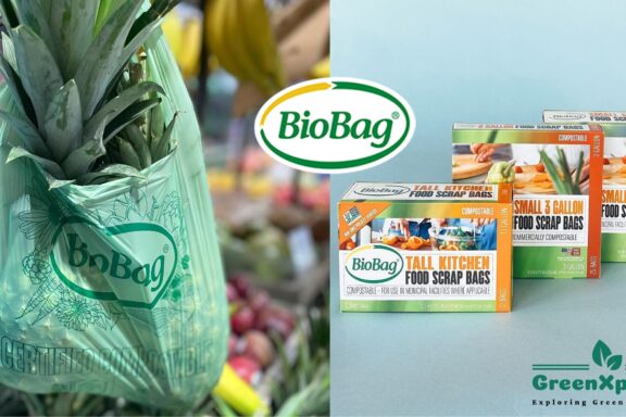 Biobag Compostable Bag review